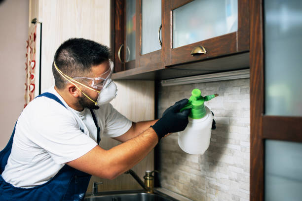 Best Ant Control Services  in North Apollo, PA