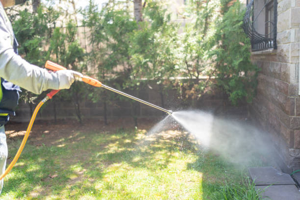 Best Insect Control  in North Apollo, PA