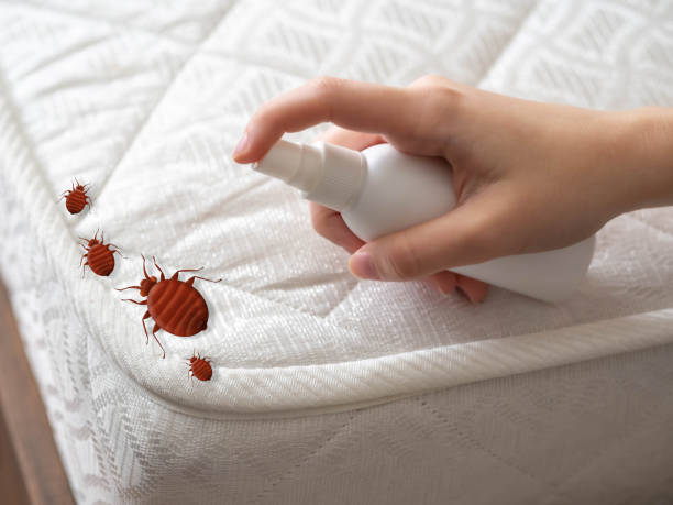 Best Pest Inspection Near Me  in North Apollo, PA