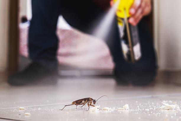 Best Commercial Pest Control Services  in North Apollo, PA
