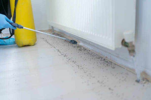 Best Cockroach Control Services  in North Apollo, PA